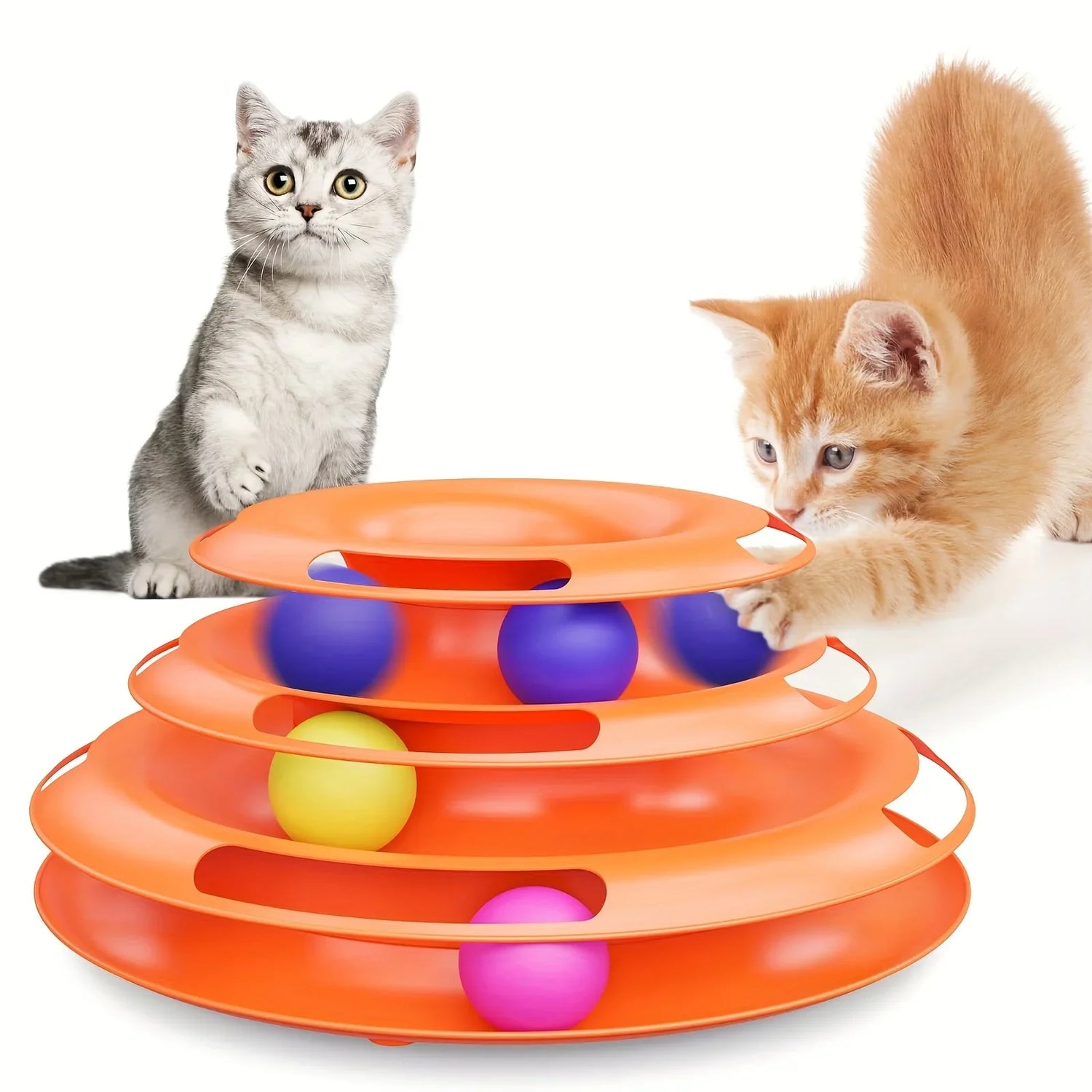 Cat Toys and Enrichment