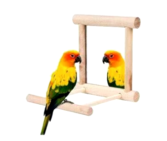 Bird Mirror With Perch Stand Bird Toy-