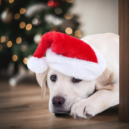 Christmas Santa Hat for Dogs and Cats Pet Apparel -